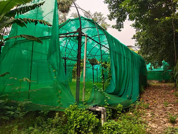 فروش سایبان توری شید + قیمت خرید به صرفه